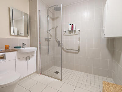 Picture 11